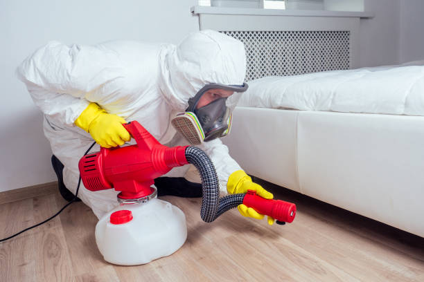 Reliable Montevideo, MN Pest Control Solutions